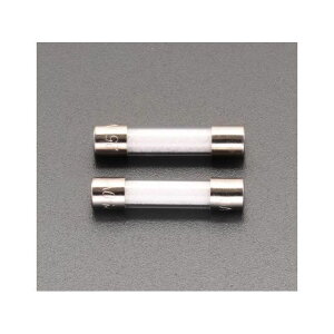 ESCO 250Vx1.0A/φ5.2mm 管ヒューズ(消弧剤入/2本) EA758ZX-22 エスコ 電動工具 バイク 車 自動車 自転車