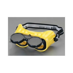 ESCO #10 S[OidCoڗpj EA800YE GXR ƏH oCN   ]