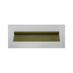 ESCO 0.92x 2m/1.0mm Ȕzi6/ODFj EA911AL-2 GXR ƏH oCN   ]