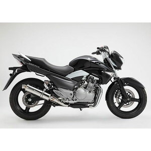 BMS RACING FACTORY R-EVOESiVOj XbvI TCT[ XeX|bV D324-53-P6S BMS }t[{ oCN GSR250