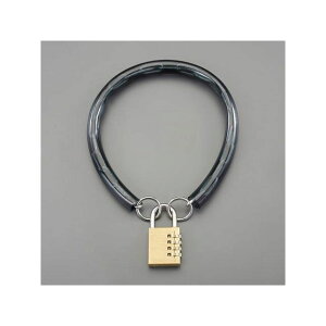 ESCO φ4.0x 600mm チェーンロック(ダイヤル錠) EA983TT-202 メーカー在庫あり エスコ ハンドツール バイク 車 自動車 自転車