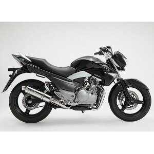 BMS RACING FACTORY R-EVOESiVOj XbvI JMCA TCT[ XeX|bV G324-53-P6J BMS }t[{ oCN GSR250