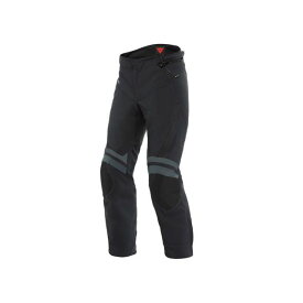 ダイネーゼ CARVE MASTER 3 GORE-TEX（R） PANTS（U40） サイズ：48 1614081 Dainese パンツ バイク