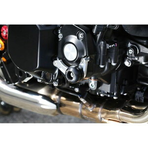 BABYFACE GWXC_[ 006-SK029E xr[tFCX XC_[ oCN Z900RS