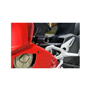 BABYFACE GWXC_[ 006-SD015 xr[tFCX XC_[ oCN Panigale V4R