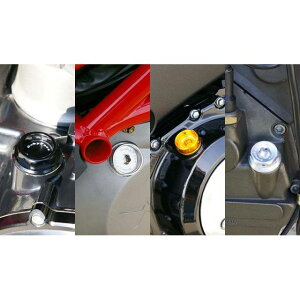 BABYFACE ICtB[Lbv Eh^Cv J[ S[h 005-EY006GD xr[tFCX GWICp[c oCN MT-09/XSR900