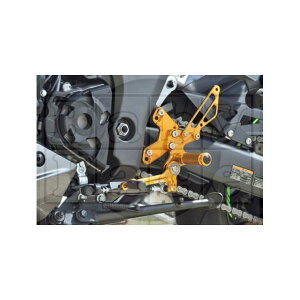 BABYFACE obNXebvLbg J[ S[h 002-K041GD xr[tFCX obNXebv֘Ap[c oCN Ninja1000SX