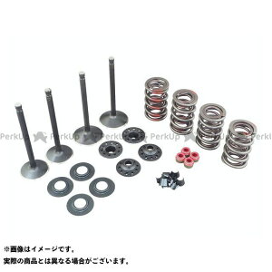 Kibblewhite GWLbg 99-04y TC88 E023623 LuzCg ̑GW֘Ap[c oCN cCJ88