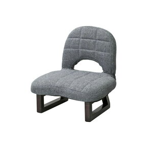 Azumaya LSS-23GY wt֎qiO[j LSS-23GY [J[݌ɂ J CX Lv