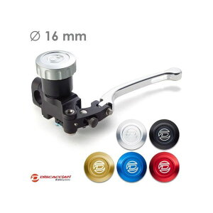 Discacciati ۃ^NWANb`}X^[ 16 o[ Vo[ ^NLbv ubN dl nhF~/~[z_[ FDR0010NKTSNM Discacciati Nb` oCN ėp