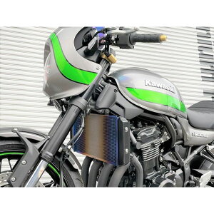 Titanium Power �`�^�� ���W�G�^�[�R�A�K�[�h for KAWASAKI Z900RS/RS CAFE�i-2020�j/�i�u���[�O���f�[�V�����j 16017Z900RSAB �`�^�j�E���p���[ ���W�G�^�[�֘A�p�[�c Z900RS/RS CAFE