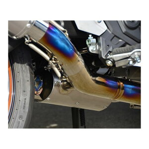 BEET NASSERT 3DtGL][Xg}t[ TI/TI 0280-KG7-50 r[gWp }t[{ oCN Z650RS