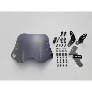 DAYTONA EChV[hSS 31455 [J[݌ɂ fCgi XN[֘Ap[c oCN NXJu110