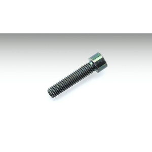 KIJIMA `F[Jb^[p CZbg{g 302-11203 LW} ؍H oCN   ]