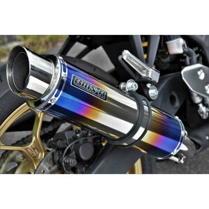 BMS RACING FACTORY R-EVO2 XbvI q[g`^TCT[ {F G270-54-P1J BMS }t[{ oCN YZF-R3