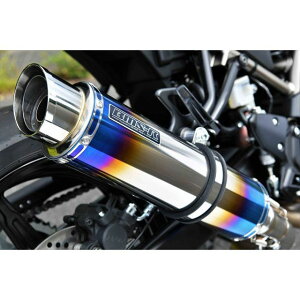 BMS RACING FACTORY R-EVO2 q[g`^TCT[ {F G345-54-P1J BMS }t[{ oCN SV650/SV650X