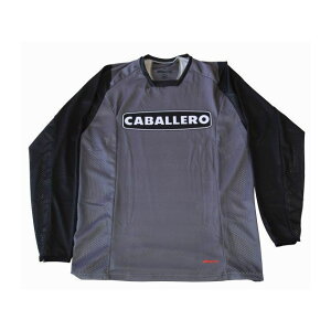 FANTIC Lo gNXW[WiubN/O[j TCY S TEES650CAB01 FANTIC gNXpi oCN