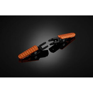 BIKERS tgtbgyO J[ IWS[h B0013-OGD oCJ[Y Xebv oCN DAX125