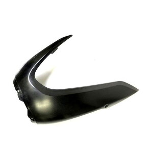 BMW BMW ���� �T�C�h �p�l�� RH bm_46638560246 �r�[�G���_�u�����[ BMW RnineT Racer