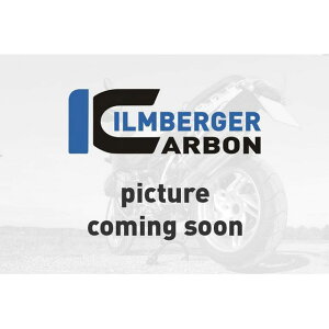 ILMBERGER tFAOTChpl E OX Panigale V2 b VER.002.V220G.K ilm_VER_002_V220G_K Co[K[ JEEGA oCN Panigale V2iNo Year Specific