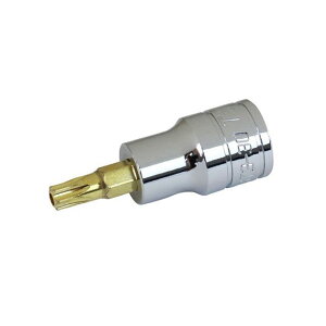 SK11 wbNX[urbg\PbgiST3-30j ST3-30 [J[݌ɂ SK11 nhc[ oCN   ]