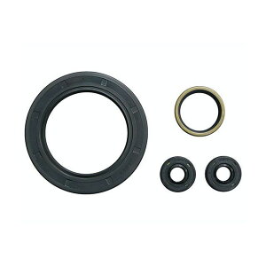JAMES GASKETS ChCuICV[Lbg 80-84y BT E009897 WF[YKXPbg GWCp[c oCN FLT FXR