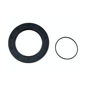 JAMES GASKETS gX~bVCVtgICV[ L94-06y BT XL E009913 [J[݌ɂ WF[YKXPbg GWCp[c oCN rbOcC X|[cX^[