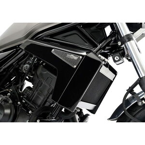 Magical Racing TCW WG^[VEh ގ DJ[{ T01-reb217-250C }WJ[VO WG^[֘Ap[c oCN Rebel250