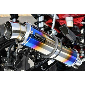 BEAMS R-EVO`^TCT[ {F G1012-53-007 r[X }t[{ oCN DAX125
