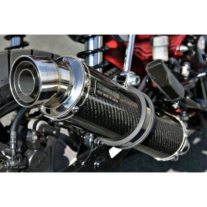 BEAMS R-EVOJ[{TCT[ {F G1012-53-006 r[X }t[{ oCN DAX125