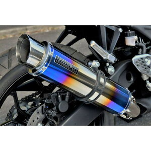 BMS RACING FACTORY R-EVO2 q[g`^TCT[ XbvI {F G273-54-P1J BMS }t[{ oCN MT-25 YZF R-25