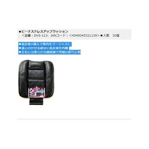 PROUDDIONE VENUShXAbvNbV DVS-113 PROUDDIONE p[cEpi  