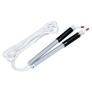 TOEI LIGHT B2381 igrST15 B2381 [J[݌ɂ g[GCCg X|[c Lv