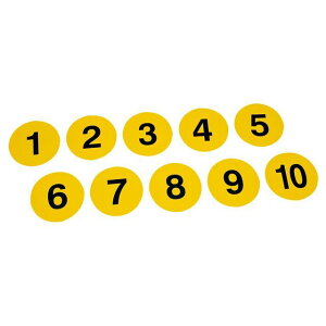 TOEI LIGHT B6256 ANeBuio[v[g B6256 [J[݌ɂ g[GCCg X|[c Lv