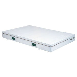 TOEI LIGHT G1456A 150×200×20cm G1456A g[GCCg X|[c Lv