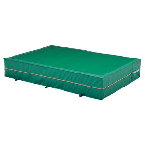 TOEI LIGHT G1553A 200×300×50cm G1553A g[GCCg X|[c Lv