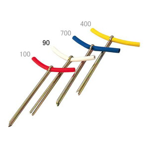 EVERNEW OEh|Cgo[2 10{ij EKA125 [J[݌ɂ Goj[ X|[c Lv