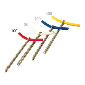 EVERNEW OEh|Cgo[2 10{iԁj EKA125 [J[݌ɂ Goj[ X|[c Lv