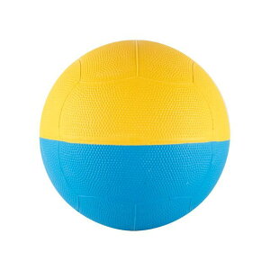 EVERNEW CghbW{[ EKD445 [J[݌ɂ Goj[ X|[c Lv