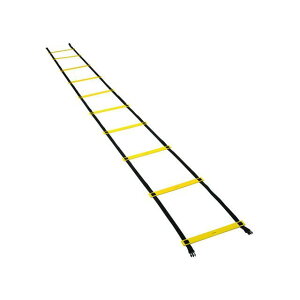 SUNLUCKY g[jOp_[ AGL-100 [J[݌ɂ TbL[ X|[c