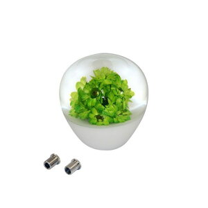 MADMAX  Vtgmu V[g TYPE1 50mm ϊA_v^[tiO[j MM75-0049-GN }bh}bNX p[cEpi  