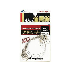 Hayabusa l̓ C[[_[ P110 20 P110-20 HAYABUSA tBbVO Lv