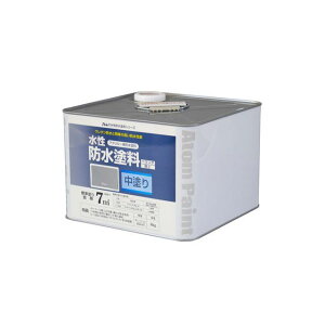 ATOM HOUSE PAINT hhph8KgO[ AgnEXyCg D.I.Y. pi