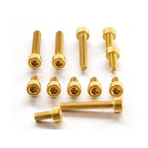 probolt Aluminium Fuel Cap Kit KTM Adventurer 990 J[ S[h TKTM400G v{g GWCp[c oCN 990 Adventure