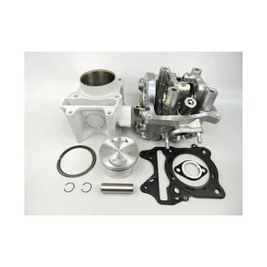 BURIAL 175{AAbvKIT wbht EH17-60-01 xA {AAbvLbg oCN PCX150