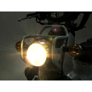 PROTEC 63021-30 LBH-H40 LEDNVJwbhCgLbg 63021-30 vebN wbhCgEou oCN NXJu110