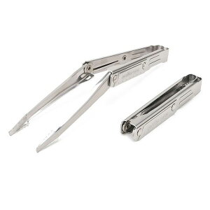 conifer cone tH[fBOgO AO}X^[MS CC-AGMS01 [J[݌ɂ Rjt@[R[ Opi