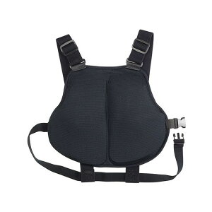 KOMINE SK-816 tbNX`FXgveN^[iubNj E04-816 R~l `FXgEuXgK[h oCN