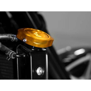 EVATEK WG^[LbvJo[ Z900RS 20`iS[hj EVT-5414-GD G@ebN WG^[֘Ap[c oCN Z900RS