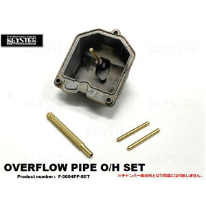 KEYSTER �I�[�o�[�t���[�p�C�v�I�[�o�[�z�[���Z�b�g �P�C�q��VB�L���u���^�[2�C���ԗp�iHAWKCB250T/HAWKIICB400T�Ȃǁj F-3004PP-SET �L�[�X�^�[ �L���u���^�[�֘A�p�[�c �P�C�q��VB�L���u���^�[2�C����